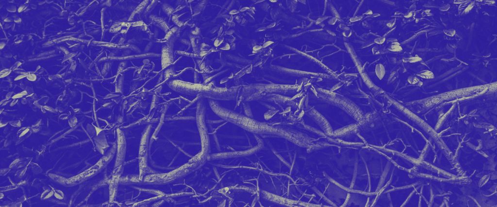 Grenar och rötter, huller om buller