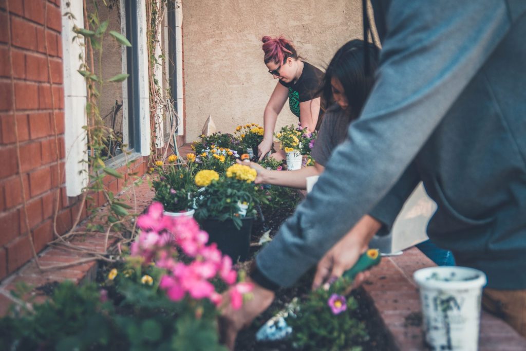 Tre personer som planterar blommor