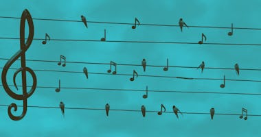 Musikstav med fåglar som sitter på trådar, blandat med noter, mot en blå himmel.