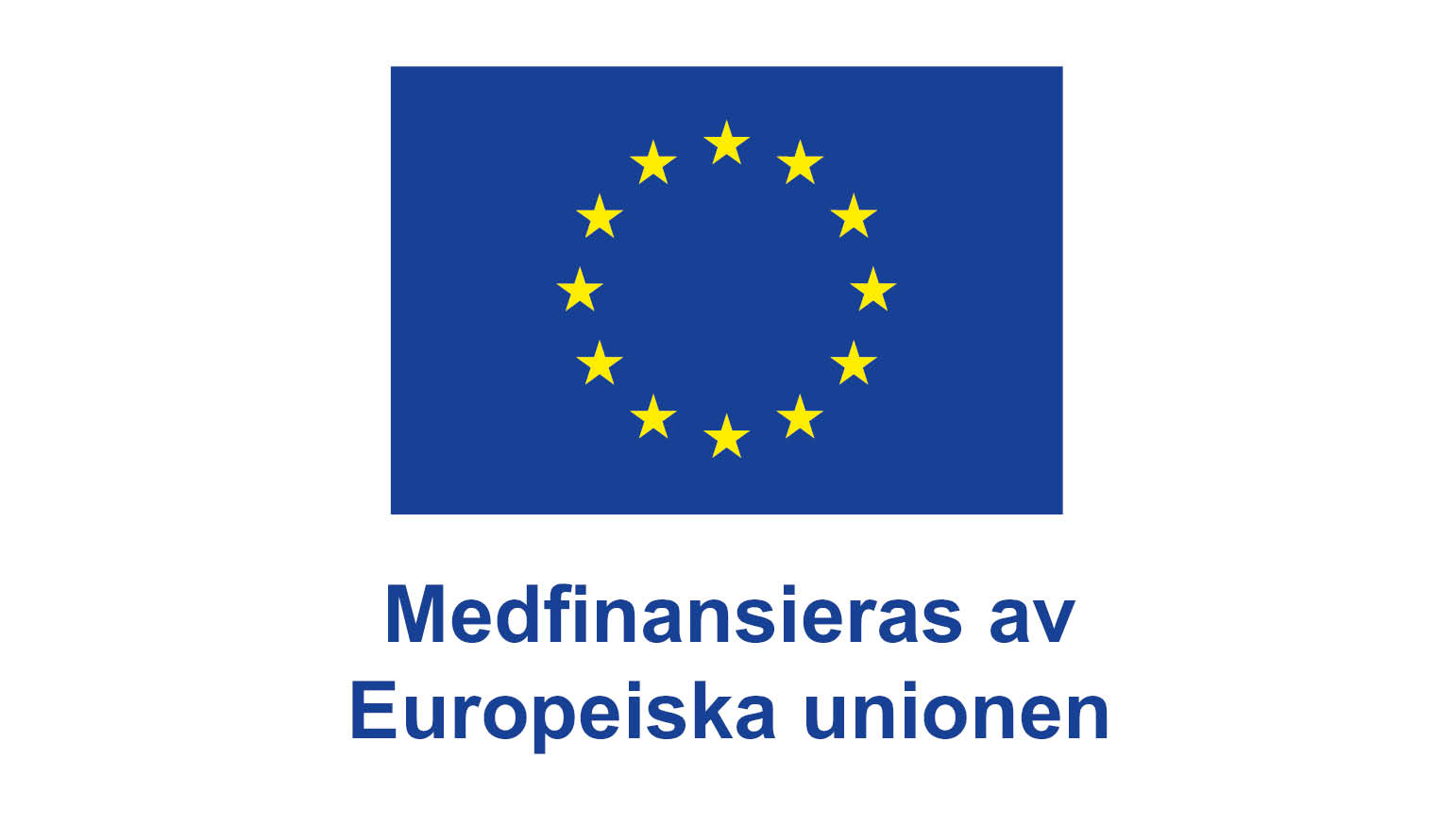 EU-flagga med gula stjärnor i en cirkel och texten "Medfinansieras av Europeiska unionen" nedanför.