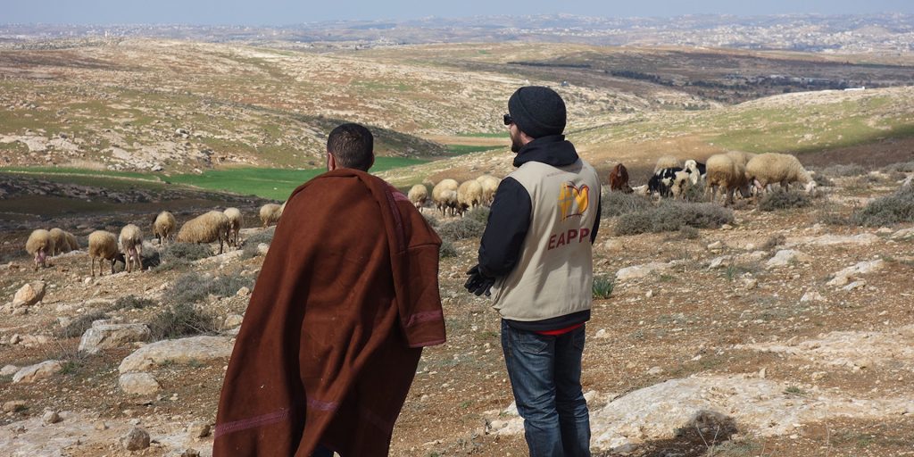Två män vakar över en fårflock som betar i ett stenigt, kuperat landskap under en klar himmel.