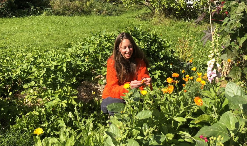 Kvinna i orange tröja står på knä i en trädgård och ler medan hon plockar eller tar hand om gula och orange ringblommor.