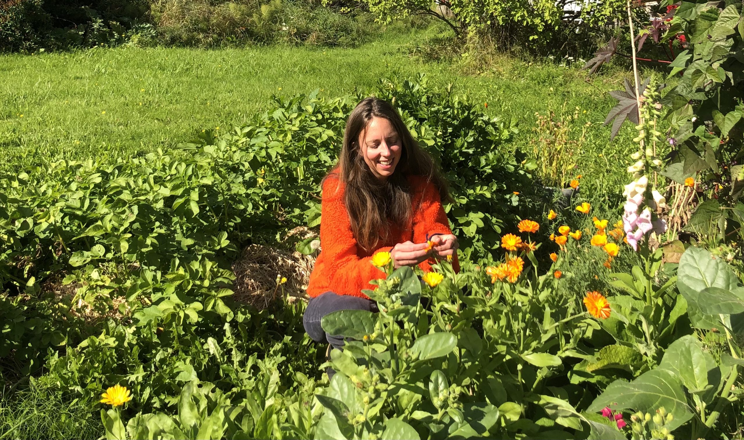Kvinna i orange tröja står på knä i en trädgård och ler medan hon plockar eller tar hand om gula och orange ringblommor.