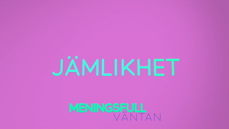 Text på lila bakgrund: "JÄMLIKHET" i stort typsnitt, "MENINGSFULL VÄNTAN" i mindre typsnitt under.