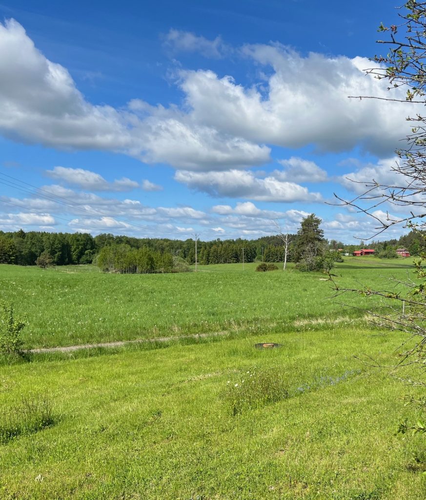 Grönt fält med träd under en delvis molnig blå himmel; ett rött hus syns i fjärran till höger.