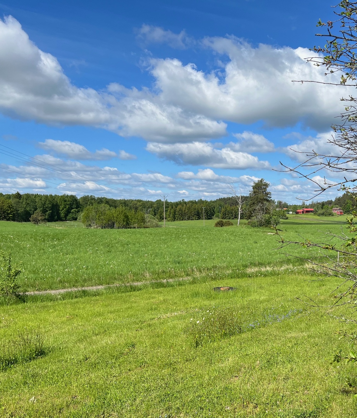 Grönt fält med träd under en delvis molnig blå himmel; ett rött hus syns i fjärran till höger.