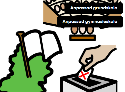 Hand som lägger röst i valurna, vit flagga på grönt, etiketter "Anpassad grundskola" och "Anpassad gymnasieskola".
