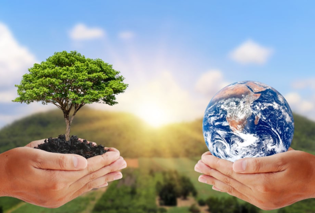 Två händer håller i ett träd och jorden med en soluppgång och gröna kullar i bakgrunden.