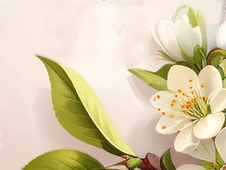 Vita blommor med gula ståndare och gröna blad på en ljusrosa bakgrund.