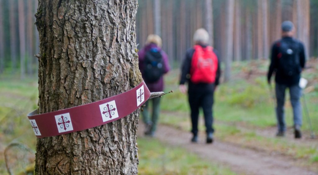 Ett träd med ett markerat ledband; tre vandrare går längs en skogsstig i bakgrunden.