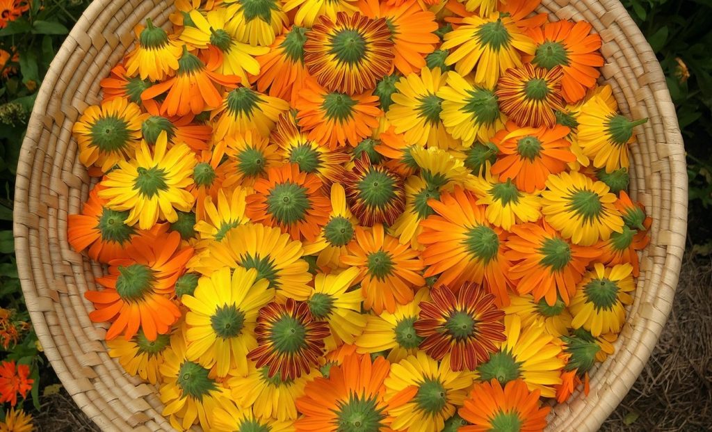 Vävd korg fylld med orange och gula ringblommor.