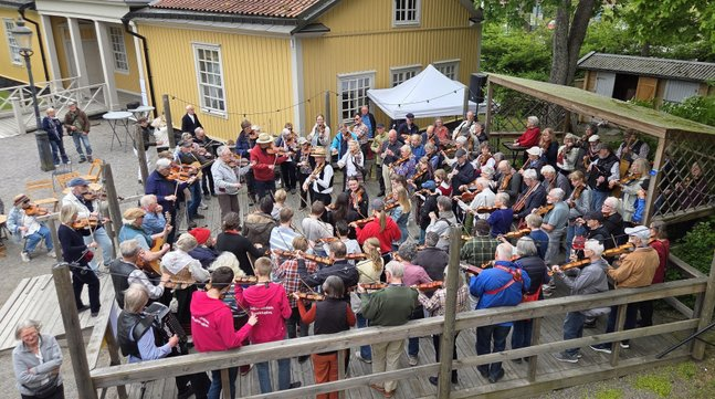 En stor grupp människor spelar violin utomhus nära en gul träbyggnad, omgiven av grönska.