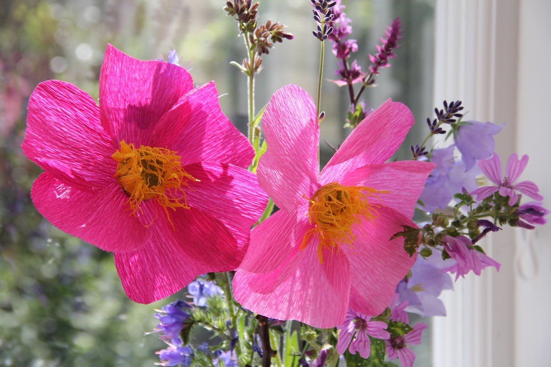 Två livfulla rosa blommor med gul mitt i en solbelyst bukett av blandade vildblommor.